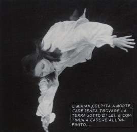 L'affascinante rapitore