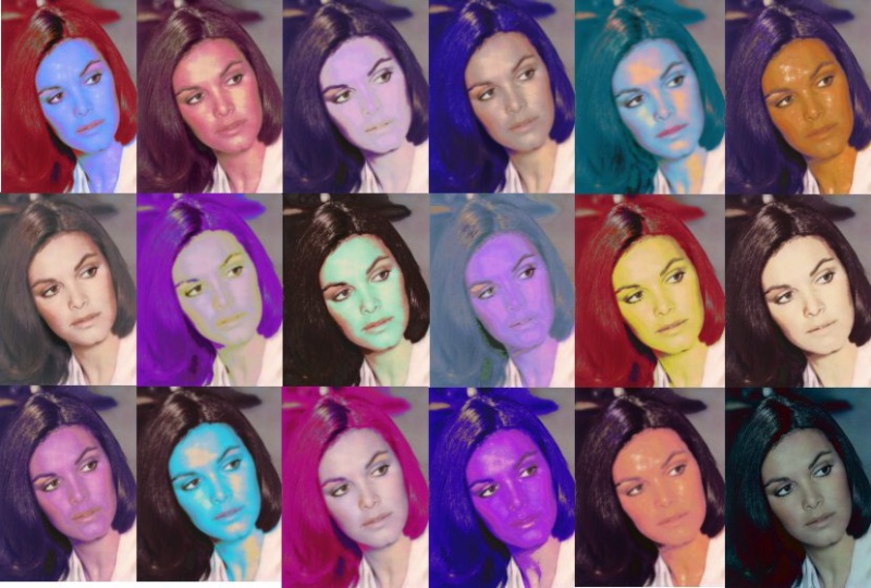 Adriana Rame collage