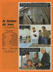 Al limitare del bosco