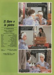 Il fiore e le pietre