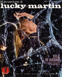 Tela di ragno