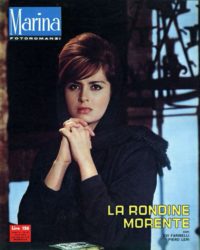 La rondine morente