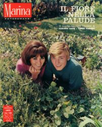 Il fiore nella palude