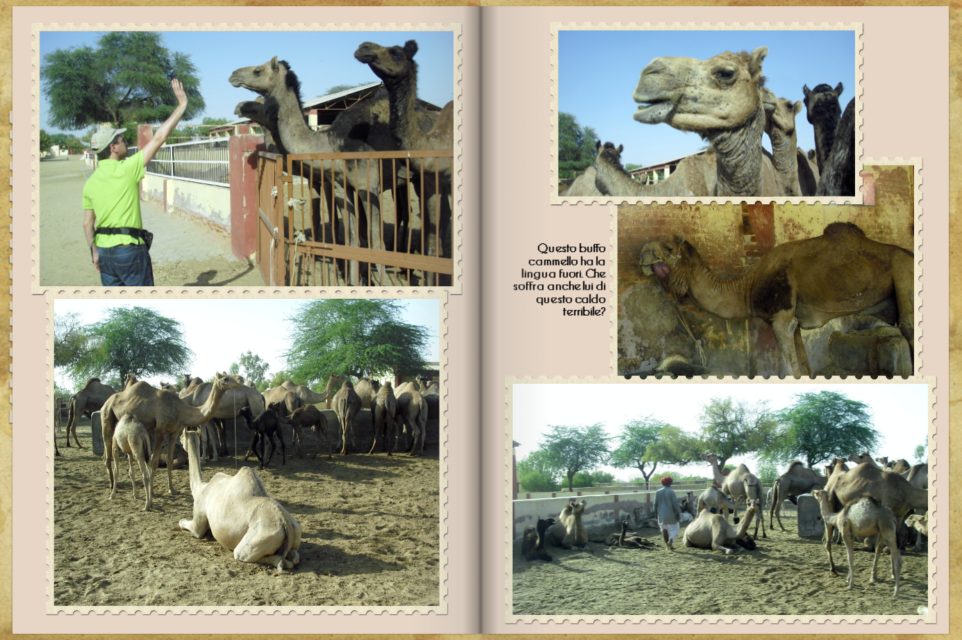 India pag 11