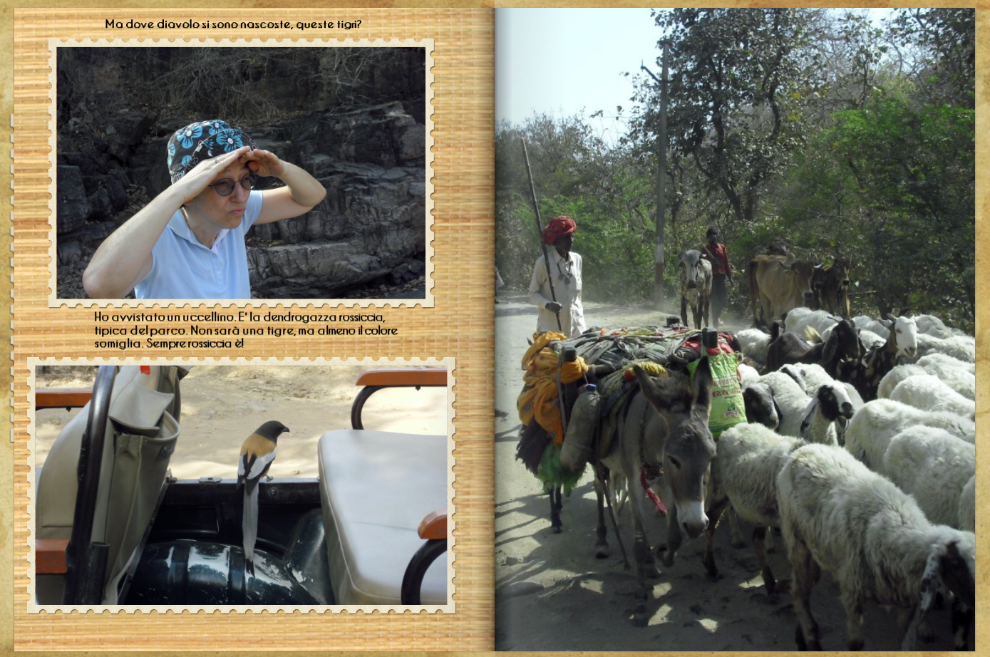 India pag 43
