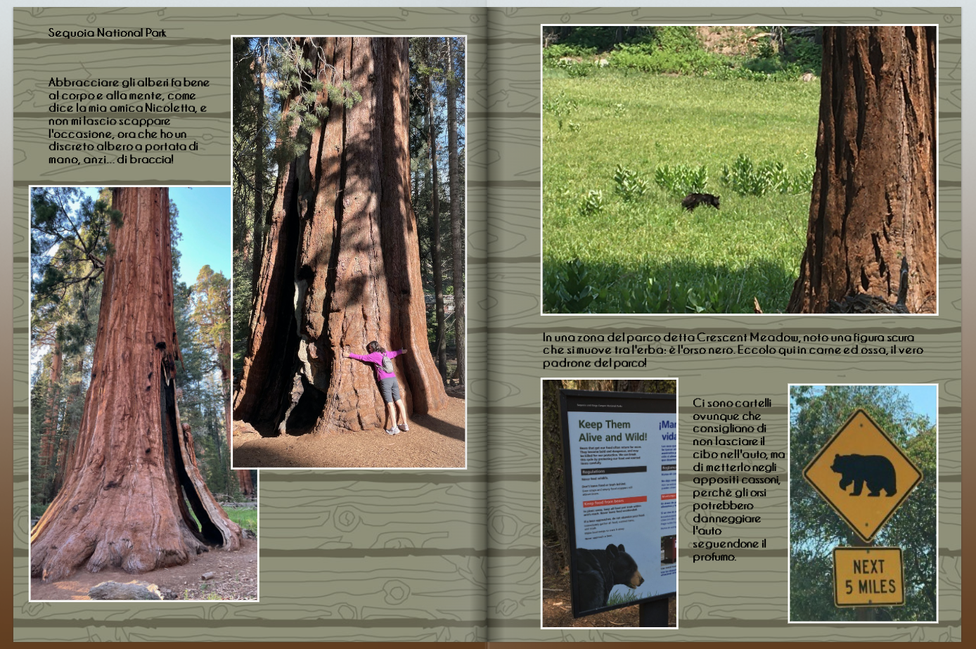 Libro 2 Usa pag 41