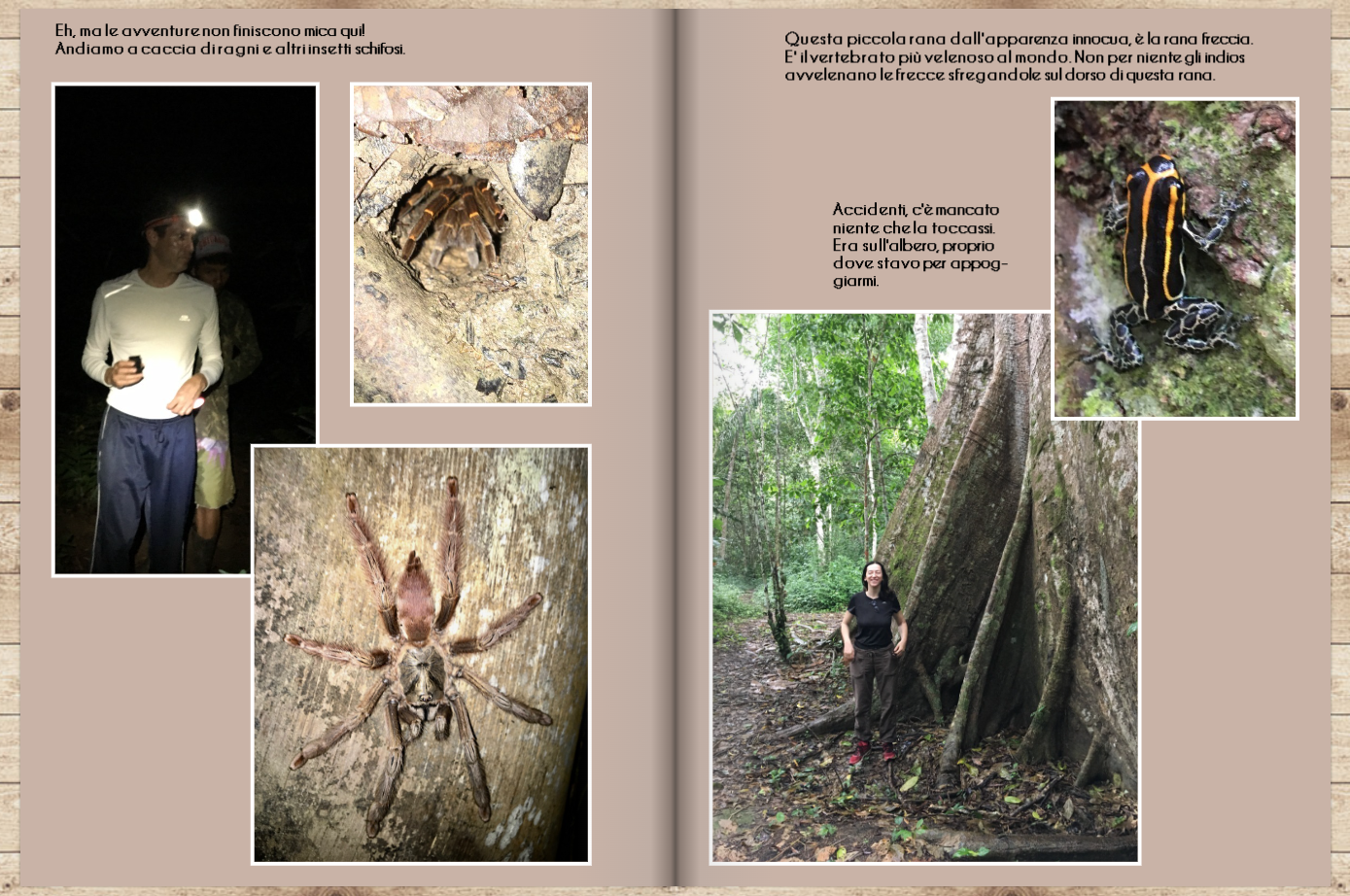 Brasile pag 37