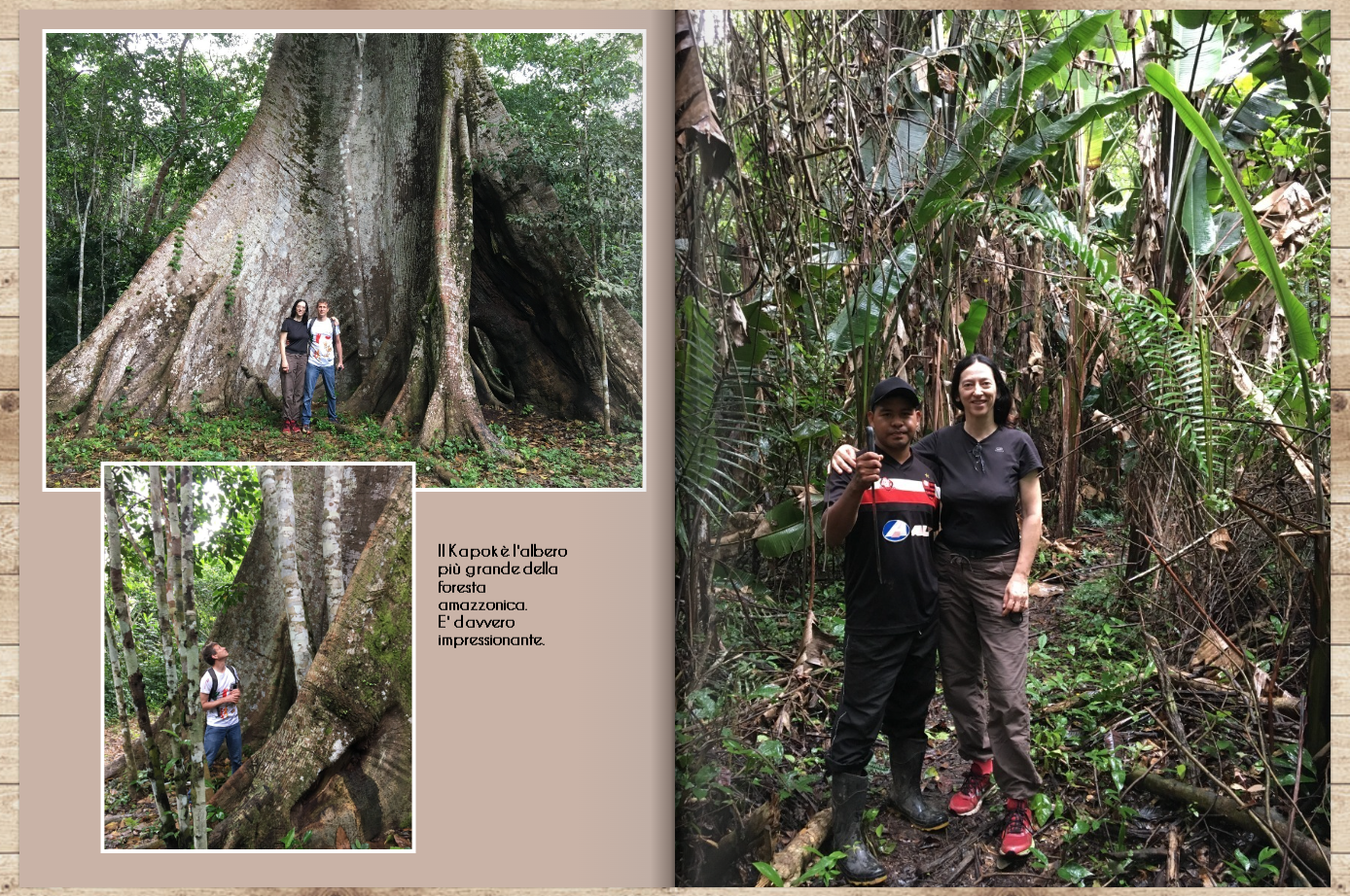 Brasile pag 38