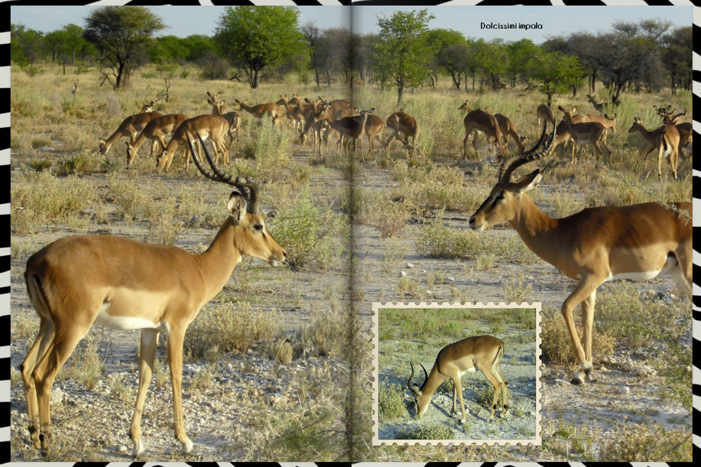 Namibia pag 08