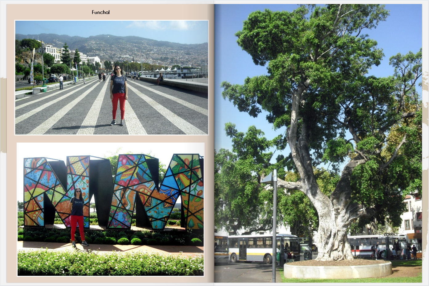 Madeira pag 21