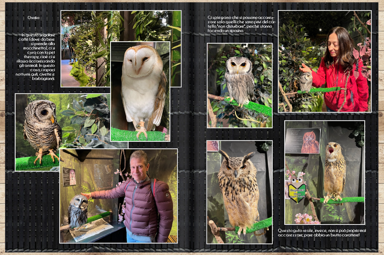 Giappone fotolibro 2 n 31