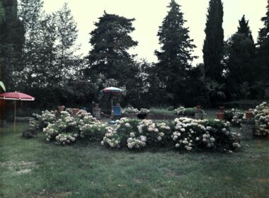 Villa Finzi-Clementi anni '70: la rotonda